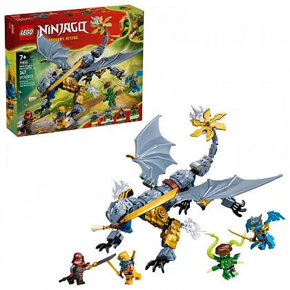 Ninja Dragon Riyu's Battle 71855 LEGO&reg; Ninjago&reg;