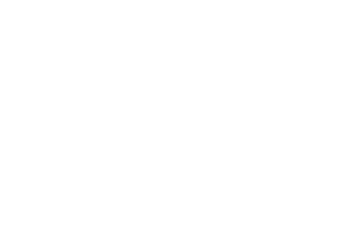 LEGO® Ideas